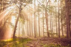 iGame柒小希纪念版硬件套装限量发售：搭载RTX 40系显卡的顶级游戏装备